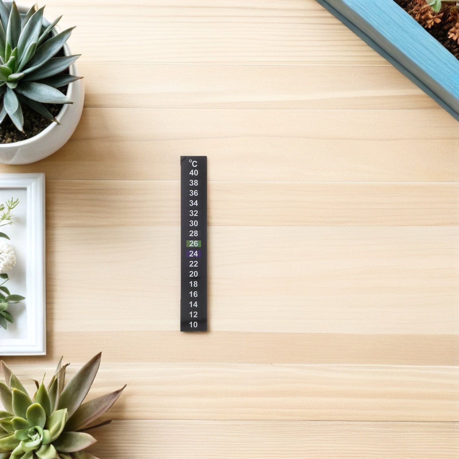 5Pcs Aquarium Thermometer Stic - Temperature Strip Thermometer のレビューと価格
